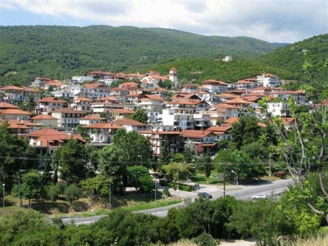 Apartments Erato Neos Panteleimonas Buitenkant foto
